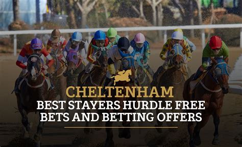 best cheltenham offers